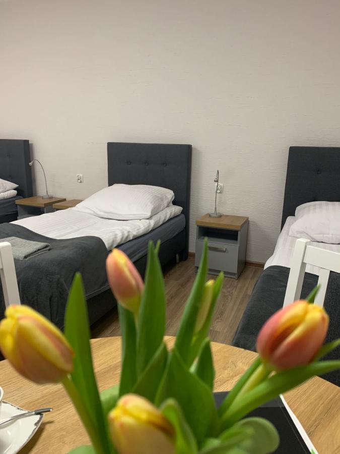 Hostel Adabet Кемпно Экстерьер фото